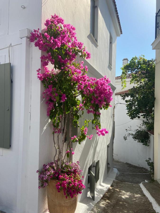 Raphael Skiathos Living-Olga Exterior foto