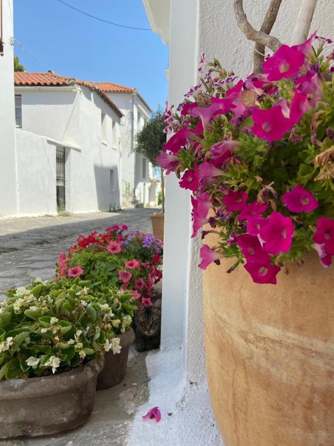 Raphael Skiathos Living-Olga Exterior foto